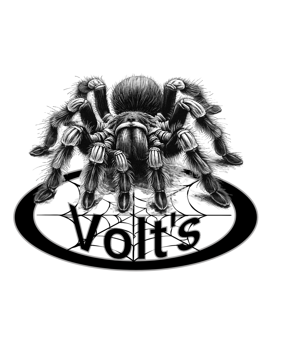 VOLT'S ARAC